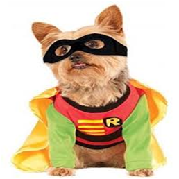 unique dog costume